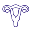 Genital Aesthetik